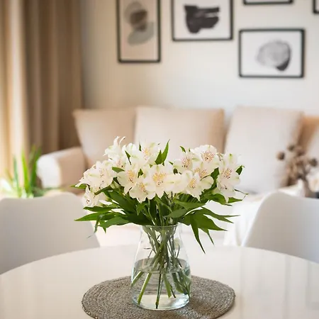 公寓 Flatbook - Center Torunska 11 *