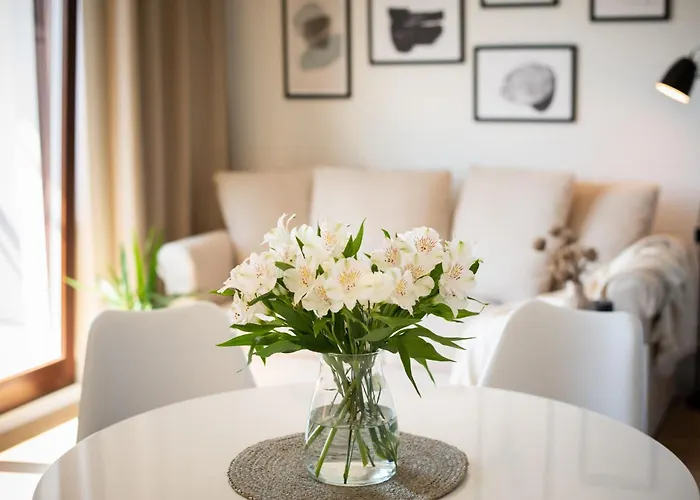 公寓 Flatbook - Center Torunska 11 *